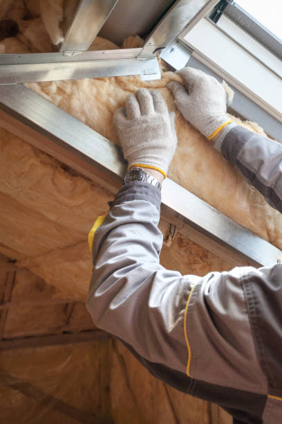 Best Home Insulation Services  in Gonzales, TX