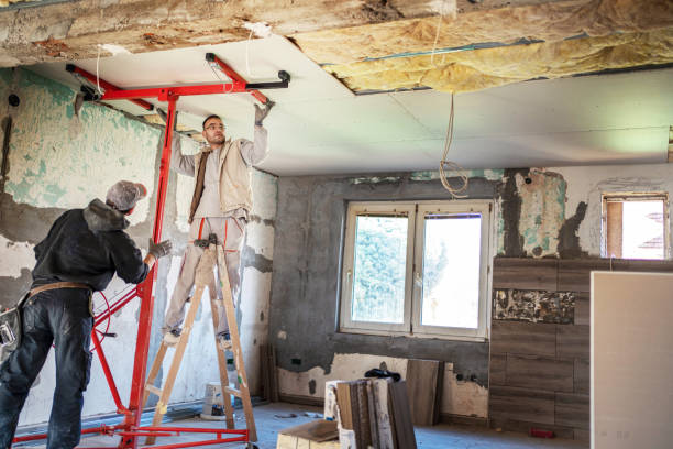 Best Insulation Contractors for Homes  in Gonzales, TX