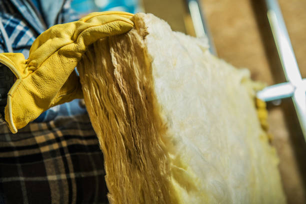 Best Cellulose Insulation  in Gonzales, TX