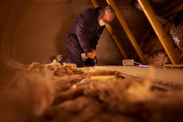 Best Home Insulation Services  in Gonzales, TX